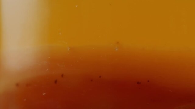 Kombucha tea, scoby fungus homemade Kombucha fermented drink, bacteria and yeast, fermentation, probiotic, Scoby, mushroom pro biotic, healthy fermented tea