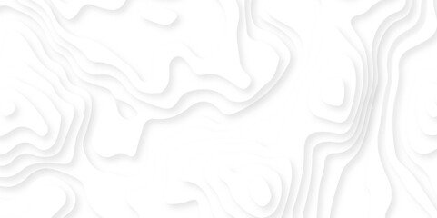 Abstract wavy line 3d paper cut white background. Abstract paper carve template. abstract colorful 3d papercut topography relief vector background illustration. 