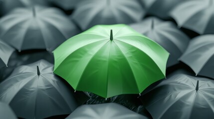 green umbrella on top of other gray umbrellas. Business and safety concept