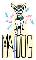 mad tiny dog