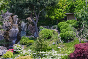 Crimea, Yalta, Japanese garden with cascading stream