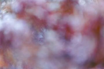 png très artistique, ressource graphique pour arrière plan, billes de bokeh artistique, flou, avec de l'orange, mauve et ces nuances aux couleurs variées 