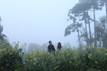 Obraz premium casal caminhando em meio a plantação com neblina ao fundo 