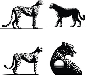 Fototapeta premium Beautiful cheetah Silhouette Vector Art and Graphic animal illustration on a white background