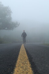 silhueta de homem caminhando em estrada com neblina  - na estrada da graciosa, paraná 