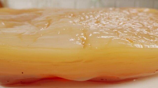 Kombucha tea, scoby fungus homemade Kombucha fermented drink, bacteria and yeast, fermentation, probiotic, Scoby, mushroom pro biotic, healthy fermented tea