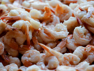 Seafood Appetizer Meal Restaurant Background