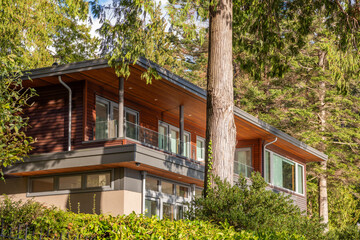 Two story stucco luxury house with garage door, big tree and nice Fall foliage landscape in Vancouver, Canada, North America. Day time on November 2024.