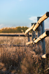 Ranch Fence