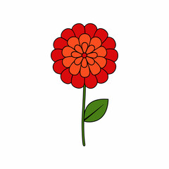 red flower isolated on white background