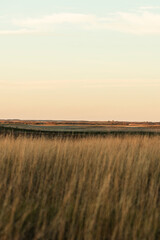 sunset in the field