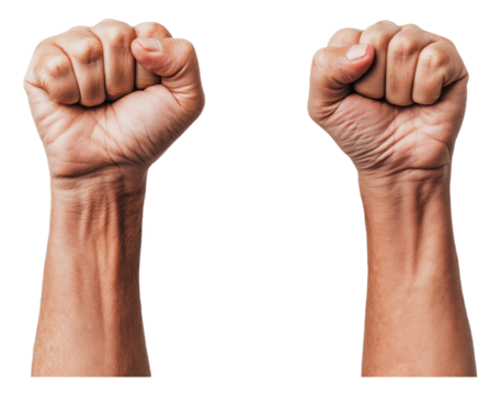 Two fists raised side by side against a white background