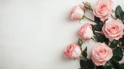 Elegant Serenity Closeup of Delicate Pink Roses on Textured Background - Romantic Floral Composition for Wedding Invitations and Home Decor