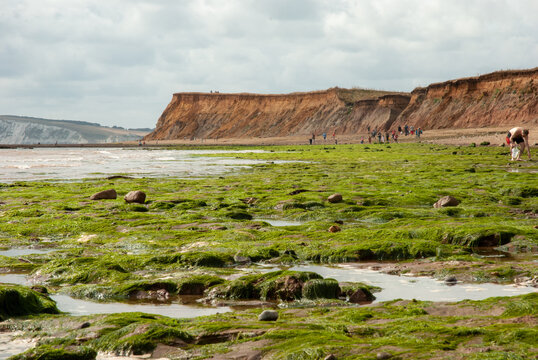 Compton Atlantic