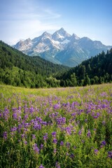 Fototapeta premium Majestic Mountain Landscape Vibrant Wildflowers and Snow-Capped Peaks in Alpine Wilderness - Serene Nature Photography