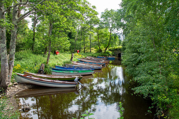 Wooden Boats Docked Along a Tranquil Forest River