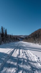 Obraz premium Scenic mountain trail blanketed in soft snow, surrounded by lush pine trees and clear skies