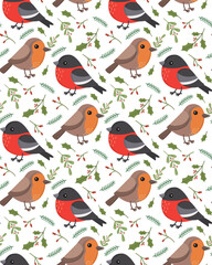 Seamless pattern with robin bird, bullfinch and christmas plants. Colorful background with cute winter birds and branches of pine and mistletoe