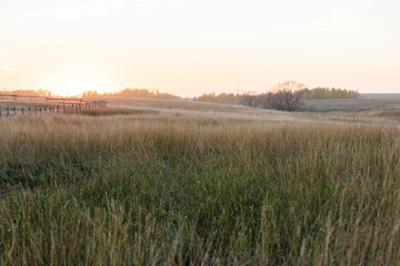 sunrise over the field