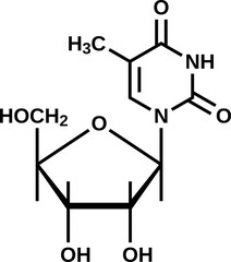 Nucleoside 5-methyluridine structural formula, ribothymidine vector illustration
