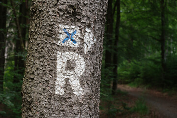 Wegmarkierung am Rennsteig, Thüringen, Deutschland