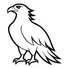 Eagle Bird Vector outline or Line art Black Silhouette isolated on transparent background