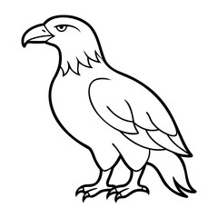 Eagle Bird Vector outline or Line art Black Silhouette isolated on transparent background