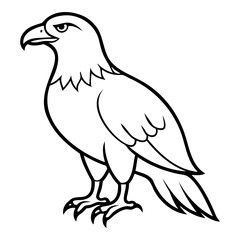 Eagle Bird Vector outline or Line art Black Silhouette isolated on transparent background