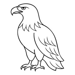 Eagle Bird Vector outline or Line art Black Silhouette isolated on transparent background