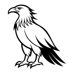 Fototapeta premium Eagle Bird Vector outline or Line art Black Silhouette isolated on transparent background