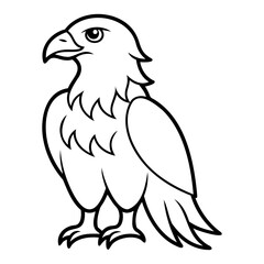 Eagle Bird Vector outline or Line art Black Silhouette isolated on transparent background