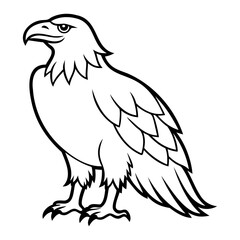 Fototapeta premium Eagle Bird Vector outline or Line art Black Silhouette isolated on transparent background