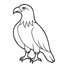 Eagle Bird Vector outline or Line art Black Silhouette isolated on transparent background