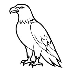 Eagle Bird Vector outline or Line art Black Silhouette isolated on transparent background
