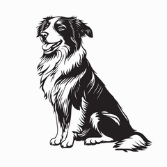 Australian Shepherd silhouette vector illustration isolated on white background.