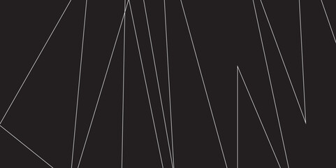 Abstract black and white geometric random chaotic lines with many squares and triangles shape. Metal grid isolated on the white background. Banner with geometric shapes, lines, stripes and triangles.