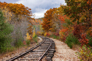 Obraz premium autumn traintracks
