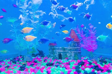 Aquarium in a pet store with colorful fish