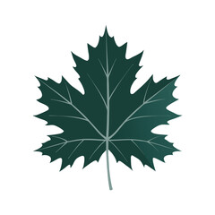 Maple Leaf Green Vector Illustration Design – High-Quality Graphics for Creative Projects