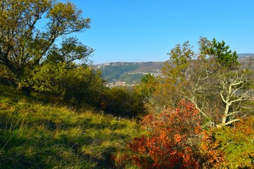 View of Movraž village at Kras in Istria, Primorska, Slovenia with mediterranean vegetation at meadow