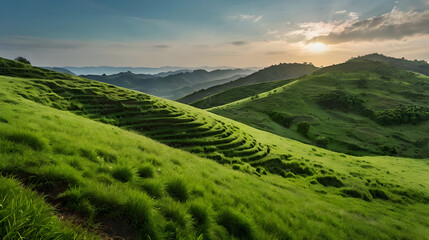 Obraz premium A peaceful hillock covered in lush green grass, with a person standing at the top, gazing into the distance where the sky meets the horizon.