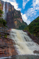 Fototapeta premium Salto Angel or Angel Falls is the highest waterfall in the world, at 979 meters high, located in the State of Bolívar, southeastern Venezuela.