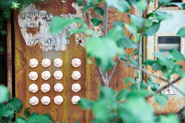 A weathered metal surface with ceramic magnets in the shape of khinkali, arranged in rows. The contrast between the soft textures of the magnets and rusted metal evokes a sense of industrial nostalgia