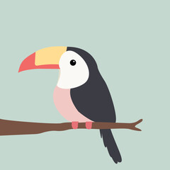 tucano vetorial simples e minimalista - ilustração infantil com cores femininas