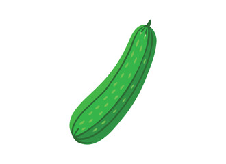 Fresh Green Cucumber Illustration - Healthy Vegetable Design