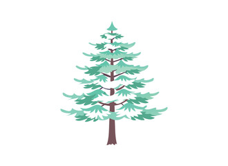 Vector Illustration of Evergreen Pine Tree Isolated on White