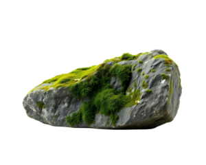 Small mossy rock transparent image. Ai generated