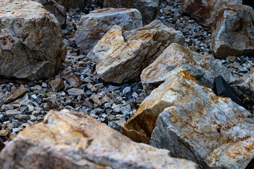 A close-up view of a cluster of rocks and gravel, revealing the natural beauty of the urban environment in Moscow, Russia.