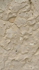 Fototapeta premium Rough and weathered stone texture background with natural colors and intricate details, details, weathered