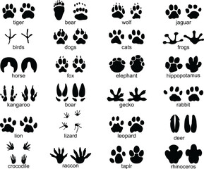 Set of  traces of wild animals, illustration of black silhouettes		